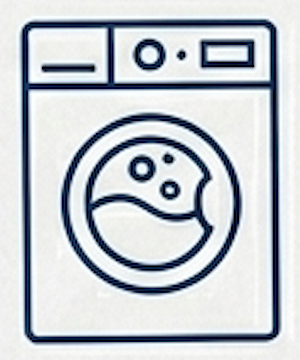 Basis